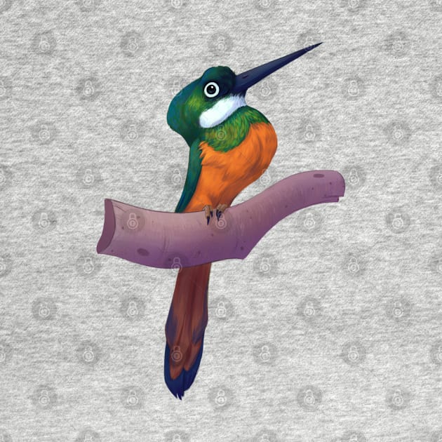 Rufous-tailed jacamar by PaulaBS